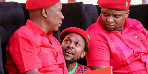 Malema and Ndlozi to stand trial for assault next year