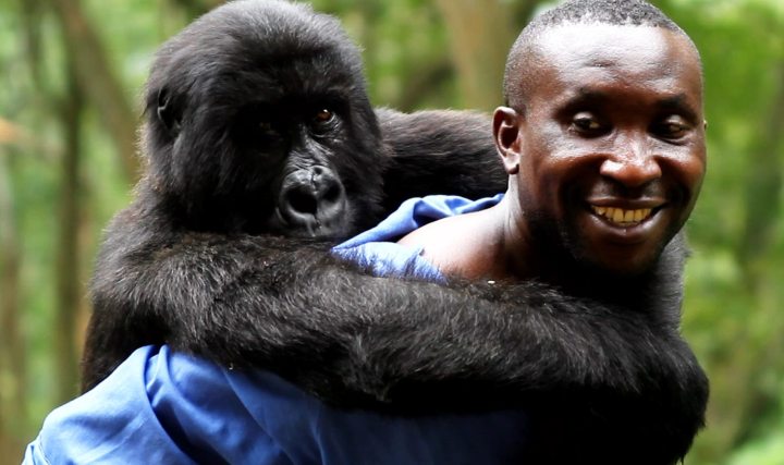 Beautiful and twisted: The story of Virunga National Park