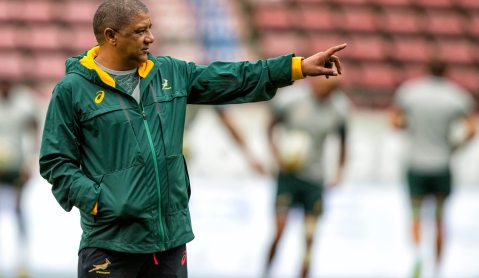 Rugby: Coetzee bemoans ‘schoolboy errors’ as Boks’ transition struggle continues