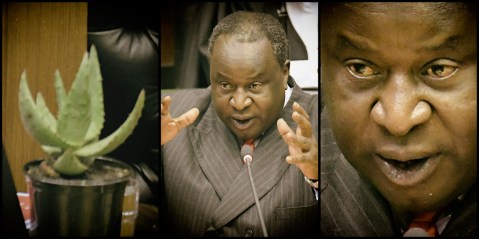 Some key things to look out for in Mboweni’s ‘do or die’ Budget