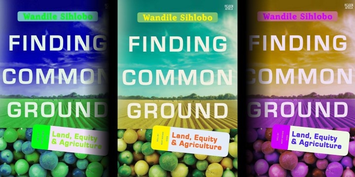 Book Review: Finding common ground on land reform after Covid-19