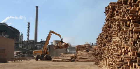 State and forestry industry lock horns over water laws in wake of pulp sector’s plantation plans