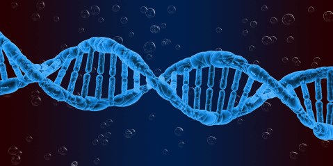 DNA programme crashes on legislation tardiness