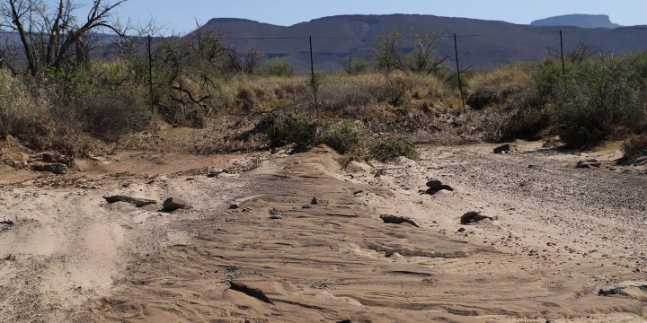 In drought-ravaged Northern Cape, government assistance may be too little, too late