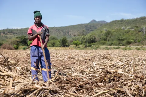 Zimbabwe’s unaffordable billion-dollar land deal