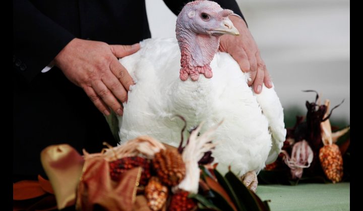 Thanksgivukkah: when two religious holidays collide