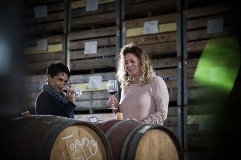 More game-changers in the world of Cape winemaking