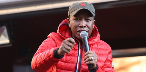 Whites and Indians are defending a ‘constitutional delinquent’, Malema tells his supporters as Gordhan challenges Protector