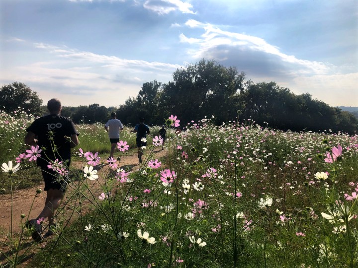 Parkrun and the power of community: Reflections on epidemics, running, poetry and human rights 