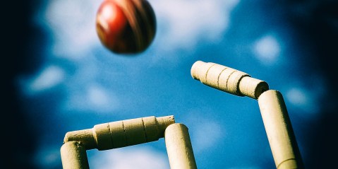 Cricket South Africa postpones AGM in wake of forensic audit findings