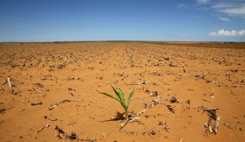 Report: Fighting the Great South African Drought