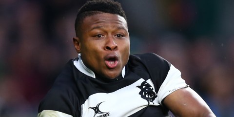 Bok Aphiwe Dyantyi fails to prove claim of unwittingly ingesting banned substance