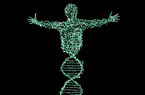The Gene Genie: Family tree and genetic data privacy