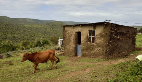 Health-E: Death, dying and silence in the Eastern Cape