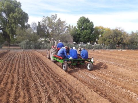 Saved by water and garlic: The story of a Karoo town