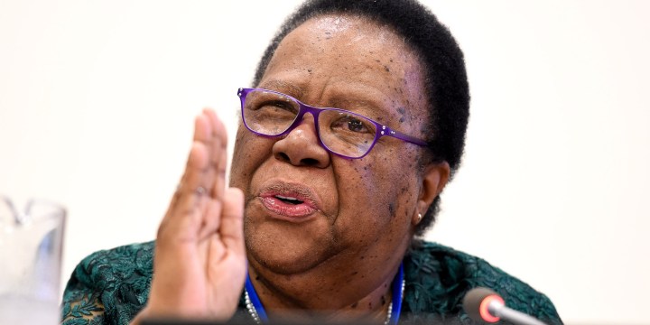 South Africa is assisting Mozambique in fight against insurgents, says Naledi Pandor
