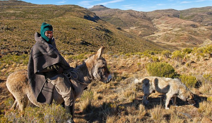 Lesotho at 50: The Politics of Dysfunction or the Dysfunction of Politics?
