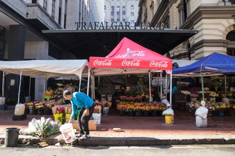 Generations of Cape Town flower traders cut it in the city market