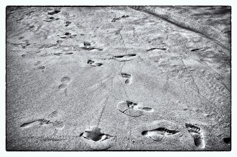 Creation of footprint ID algorithm could be step in the right direction for advancing tracking and crime scene analysis