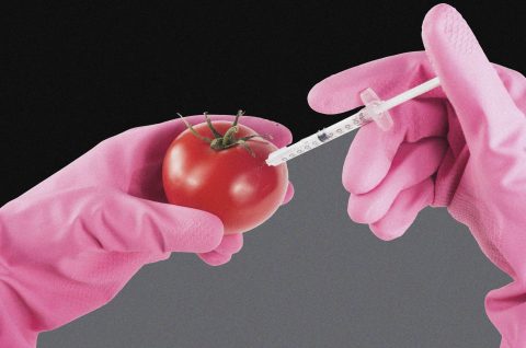 Here to stay and redefine: The Brave New World of GMO