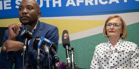 Helen Zille to ‘stay in my lane’ after winning new DA position