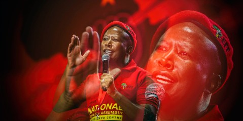 EFF NPA: Julius Malema looks to leftists and ground forces ahead of 2021