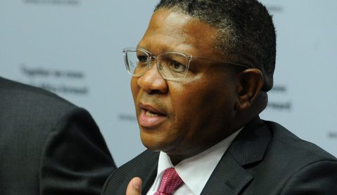 New police minister on the block: SAPS needs reform, Fikile Mbalula offers guns