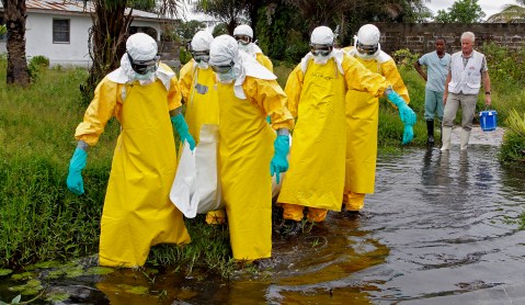 Ebola death toll rises to 75 in DR Congo