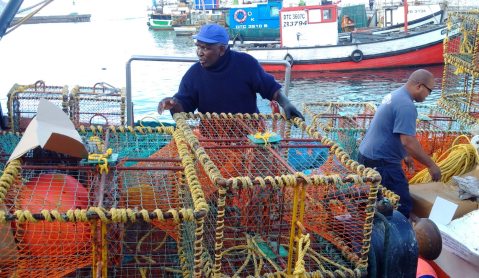 GroundUp: Kalk Bay’s fishers battle for permits