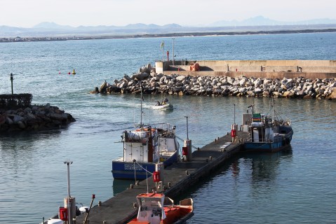 Port St Francis, home of SA’s world-beating calamari
