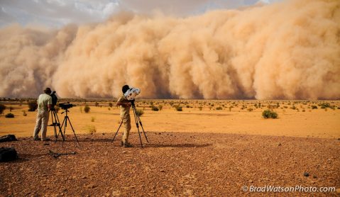 The Central Sahel: A perfect sandstorm