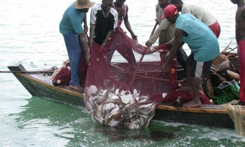 Saving Lake Victoria means going after the big fish