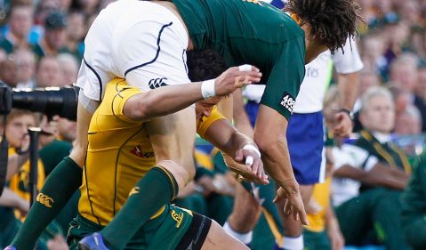 Preview: Australia vs. Springboks