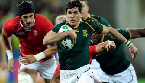 SA vs. Wales: Meyer picks intriguing squad to face the Red Dragons