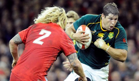 Daily Maverick’s SA rugby player of the year: Willem Alberts