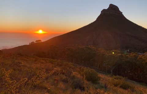 Cape Town’s wild heart – a space to treasure and enjoy