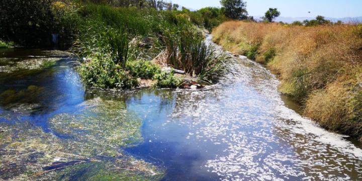 Sewage flowing into Kuils River creates a health hazard for all of Cape Town
