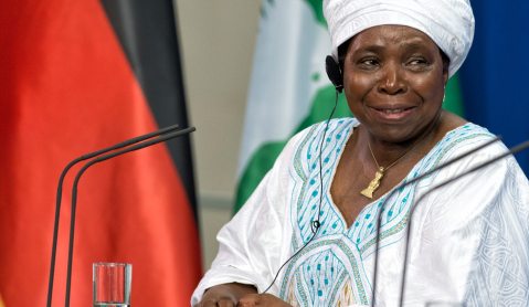 Open Letter to Dr Nkosazana Dlamini-Zuma: Appeal for urgent action to stop violence in DRC