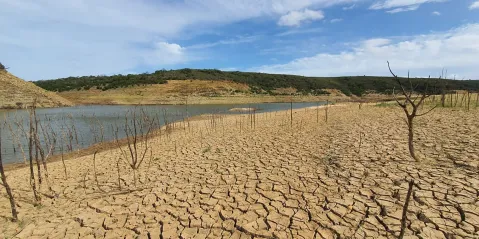 Eastern Cape’s Amathole district: Taps in drought-stricken region could run dry within a few months