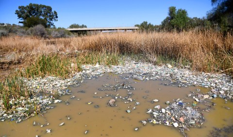 Headaches, ‘shit diaries’ and tears of desperation in Graaff-Reinet as sewage spills show no end
