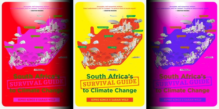 South Africa’s Survival Guide to Climate Change: Buy, borrow or steal it
