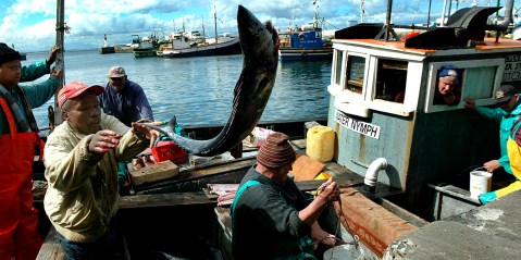 Restrictive quotas pricing traditional Kalk Bay fishers out of industry