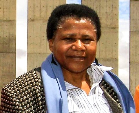 Nyameka Goniwe, veteran Eastern Cape activist and local government politician: A personal memoir 