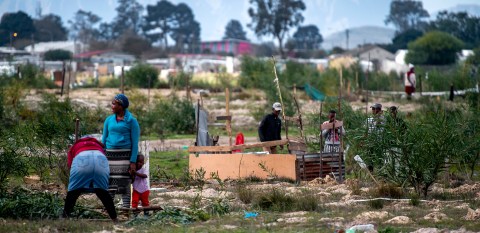 Expropriation bill needs to ensure protected and equitable access to land for all, say activists