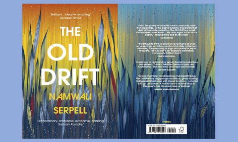 Ingenious invention: Namwali Serpell’s extraordinary debut novel