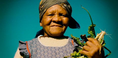 Food gardens and small-scale farmers hold key to food system transformation
