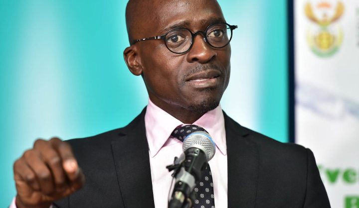 Treasury 101: Malusi Gigaba, radical economic transformation and the elephant in the room