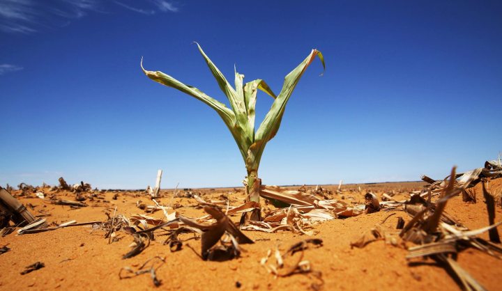 Drought: Time to call it a national disaster, says DA