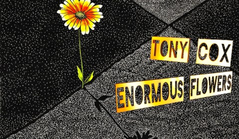 Enormous Flowers: Tony Cox’s compelling musical mastery shines