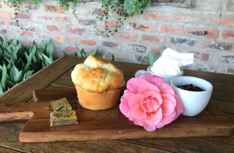 Pink Geranium serves up piping hot scones on a stoep with a view